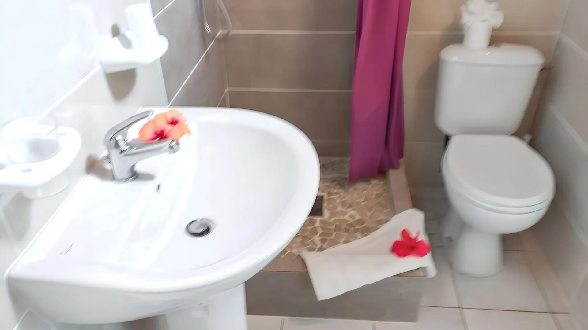 Studio Charmant A Sainte Anne Avec Piscine Partagee 30 M² Apartment